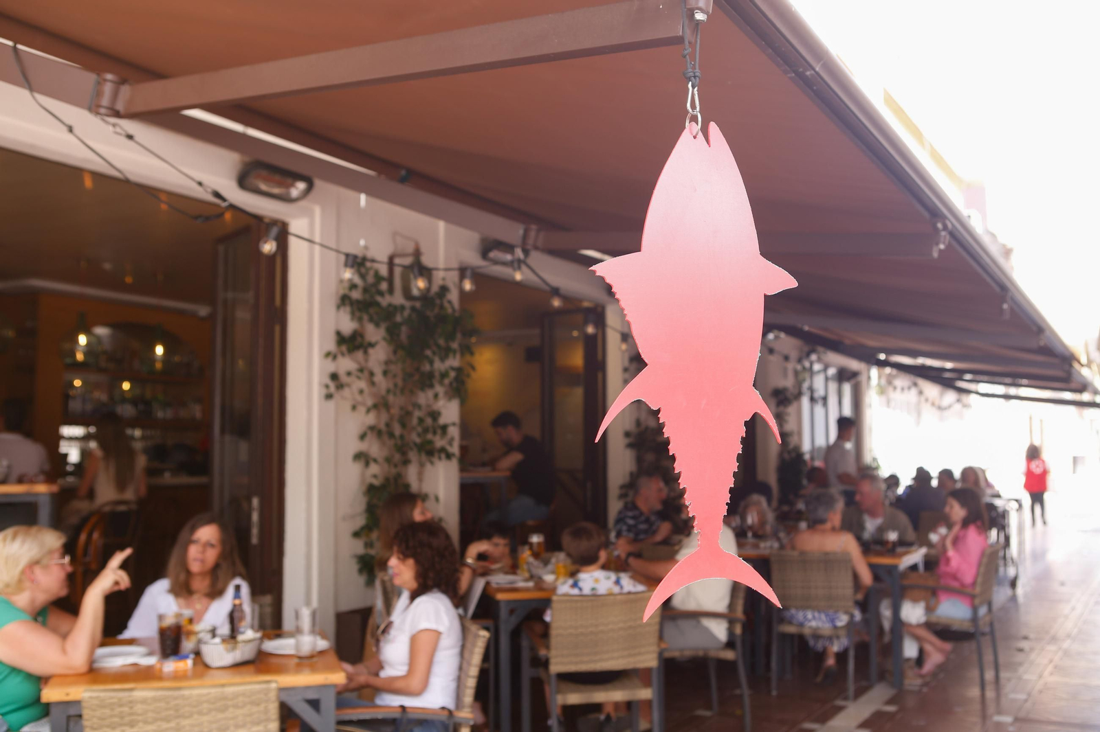 Fotos de la Ruta del Atún en los bares y restaurantes de La Línea