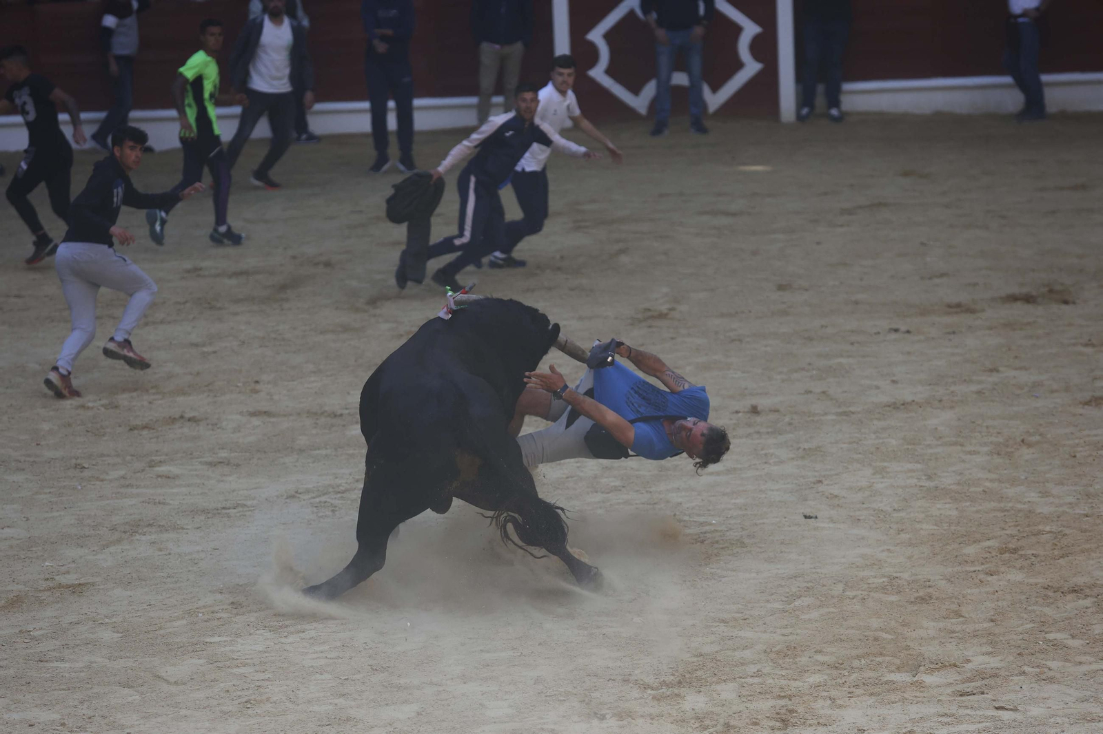 Fotos de los encierros del sábado del Toro Embolao en Los Barrios