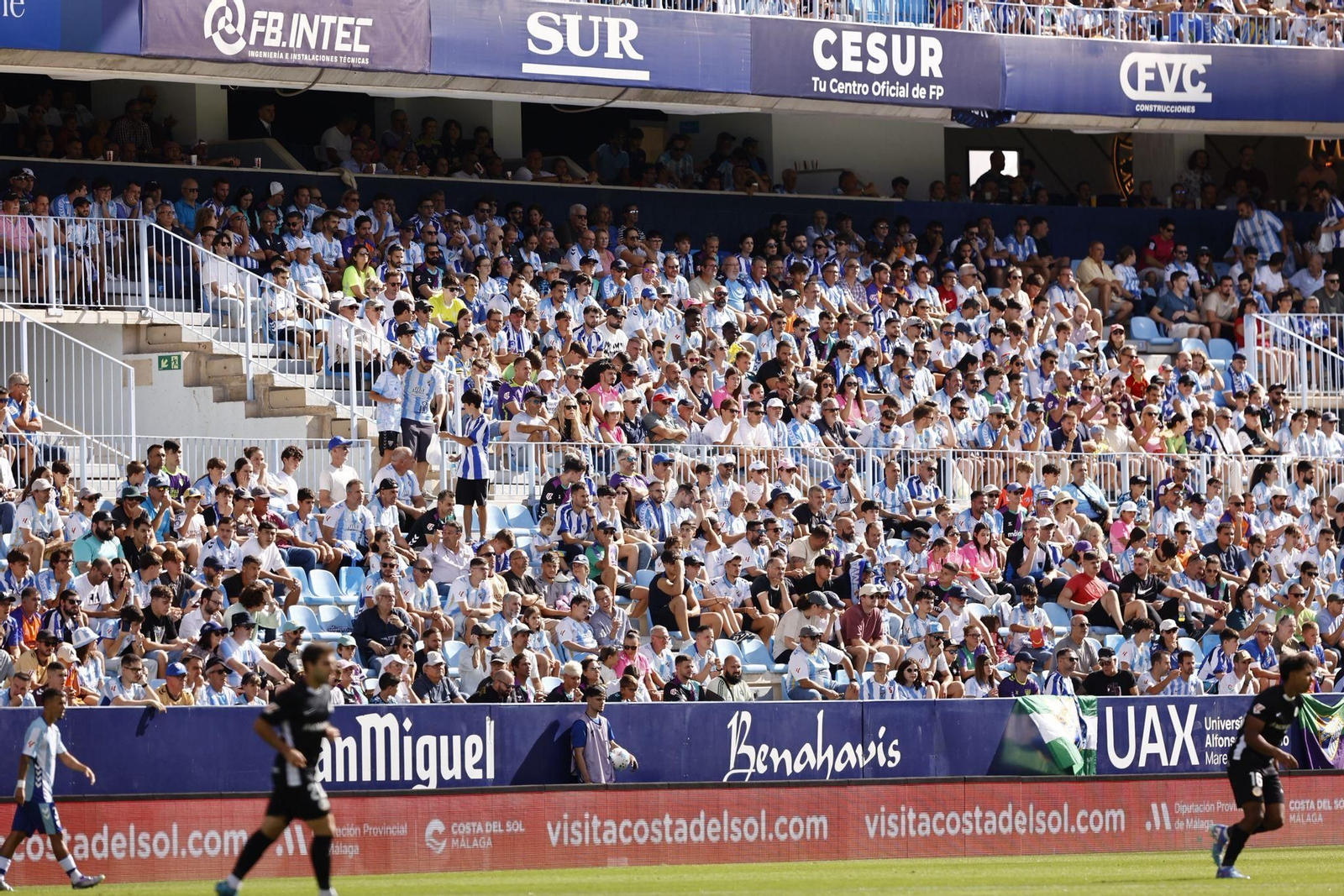 Búscate en las gradas de La Rosaleda durante el Málaga-Andorra