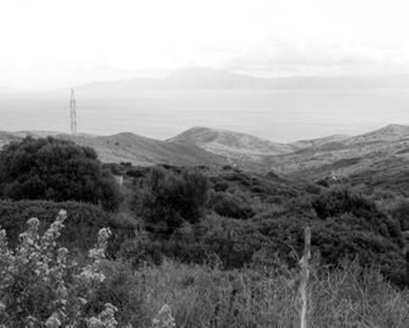 Imagen de archivo del Parque Natural del Estrecho en Algeciras.