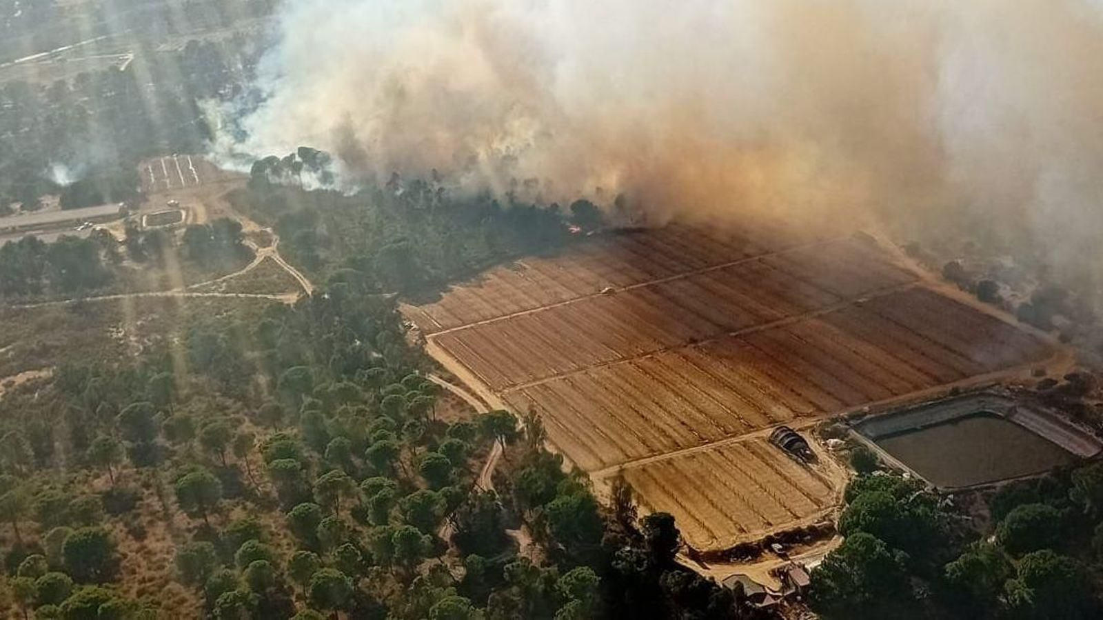 Incendio en Bonares este domingo.