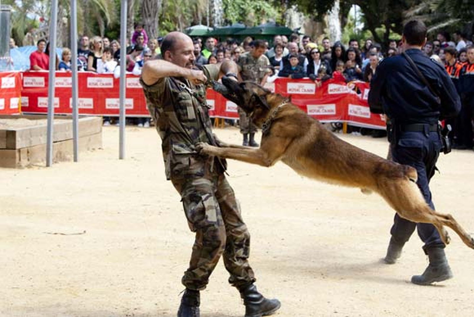 Más de 500 perros participaron en el evento, que contó con una exhibición de las Fuerzas del Orden


Foto: Lourdes de Vicente