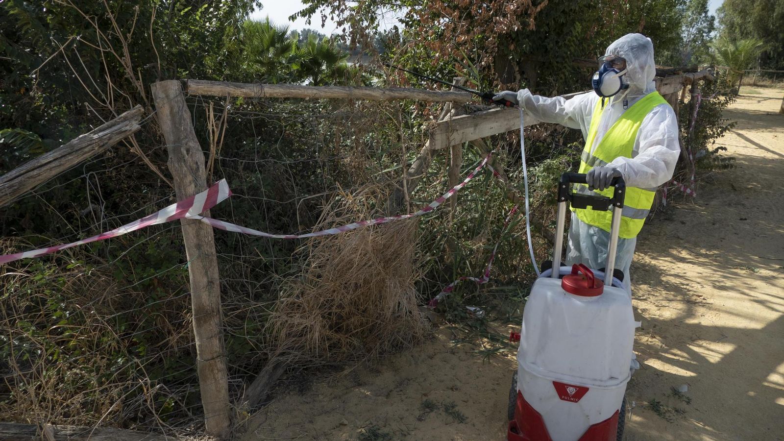 Así son las tareas de fumigación Así son las tareas de fumigación