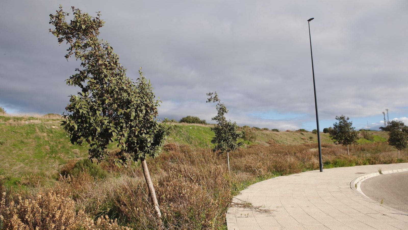 Vista parcial de los terrenos.