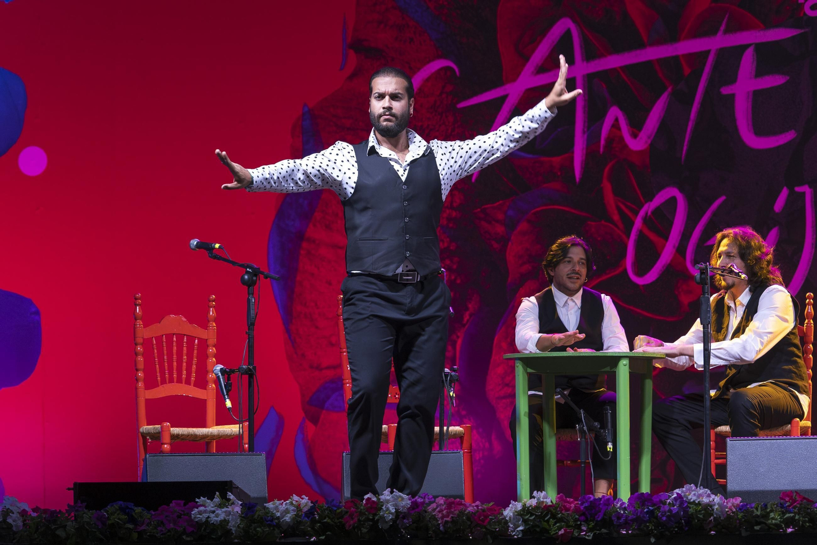 Todas las imágenes del Festival Flamenco de los Ogíjares