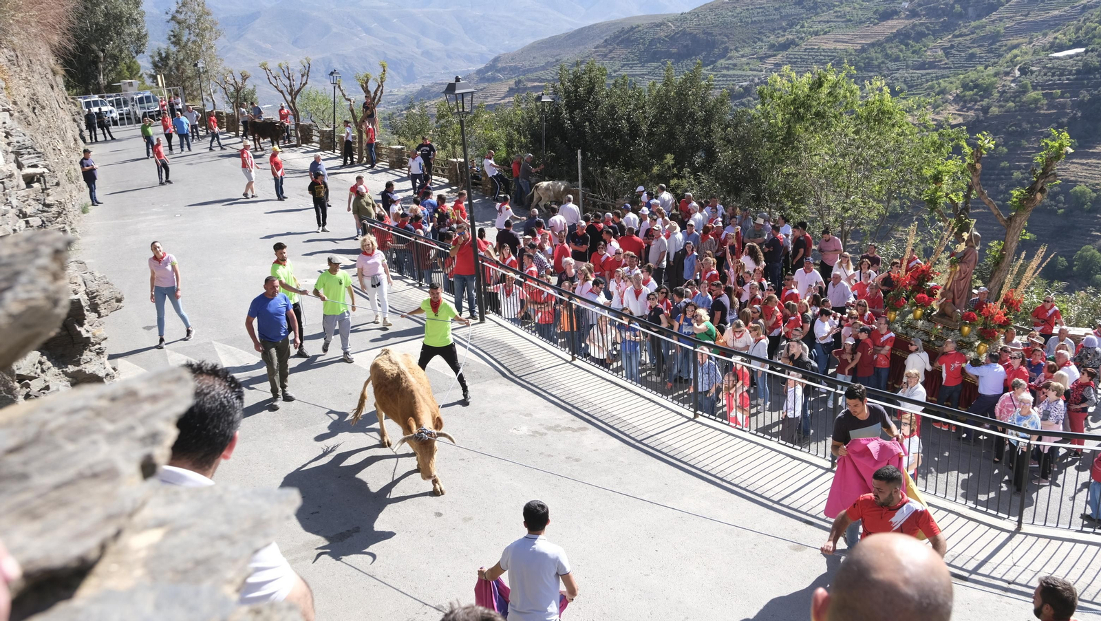 Imágenes de los toros ensogaos y San Marcos, en las Fiestas de Ohanes