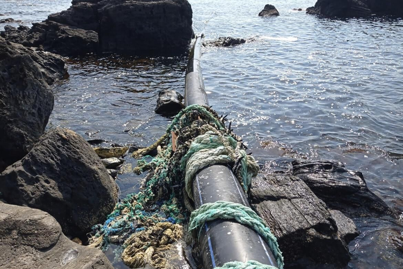 Salobreña se despide de los restos de la piscifactoría ubicados en la ZEC del Tesorillo