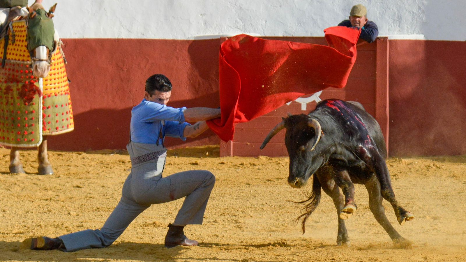 Talavante, en un muletazo de rodillas.