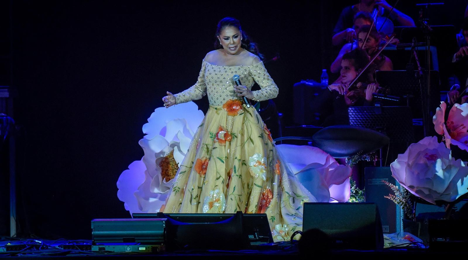 Las imágenes del concierto de Isabel Pantoja