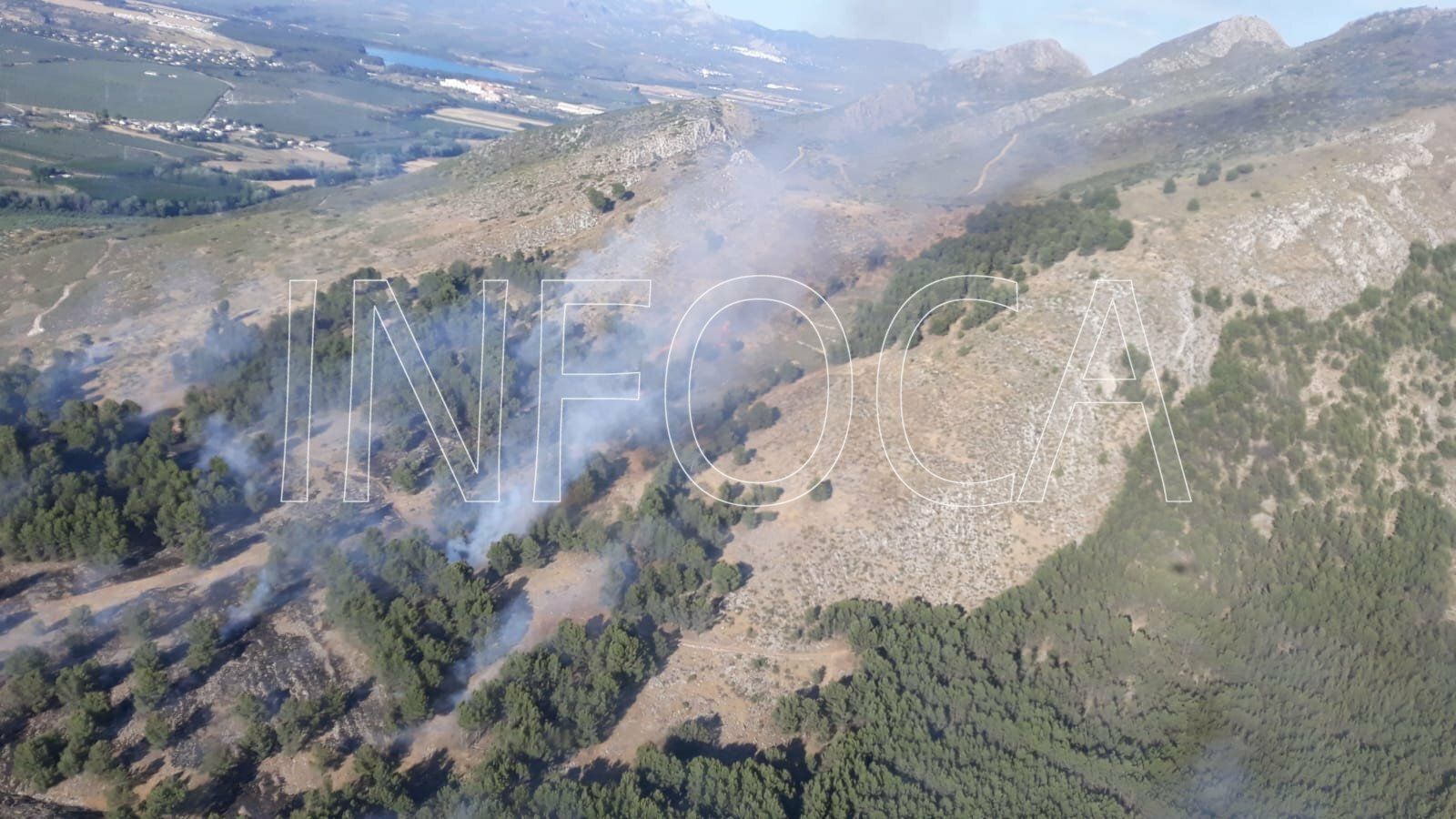 Declarado un incendio forestal en Pinos Puente.