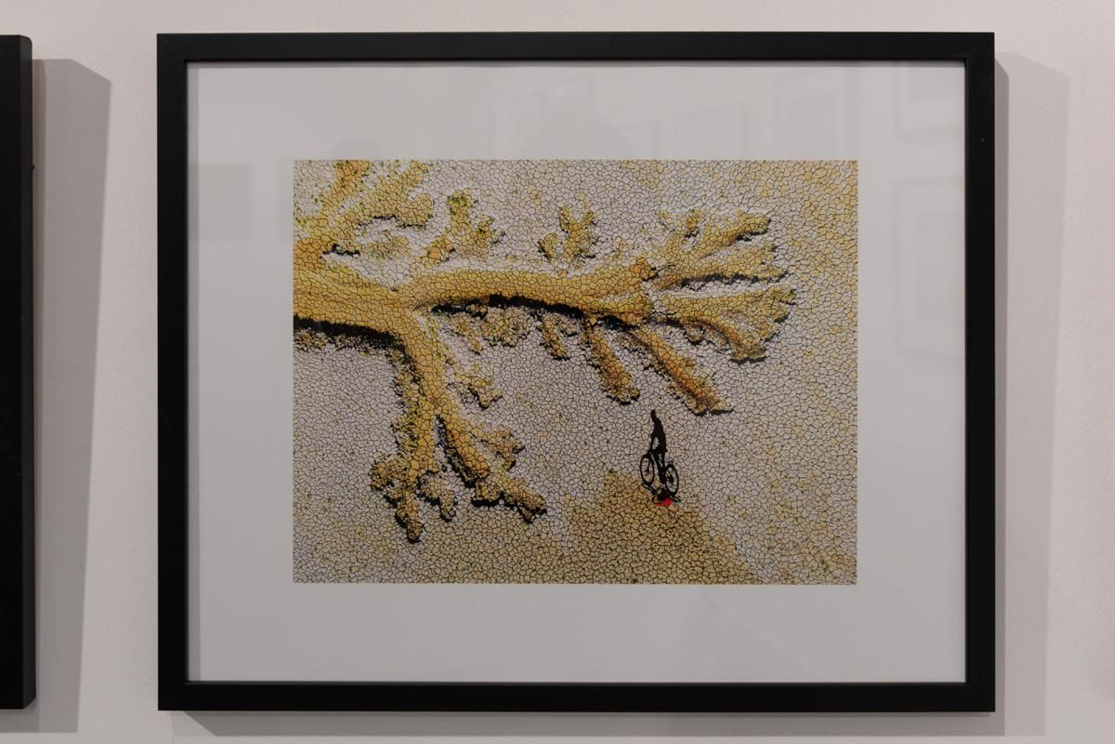 Exposición La Tierra, corazón de la vida, en imágenes