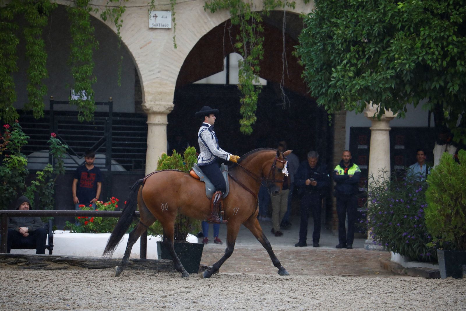 La celebración de la VI Copa de España de Alta Escuela en Córdoba, en imágenes