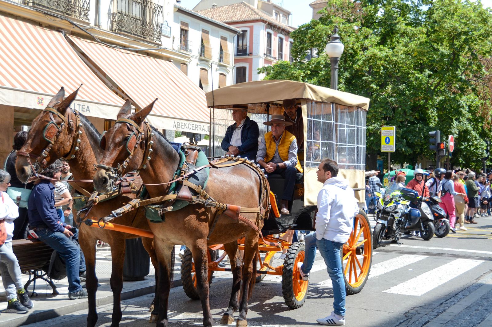 La salida de la Hermandad del Rocío de Granada, en imágenes