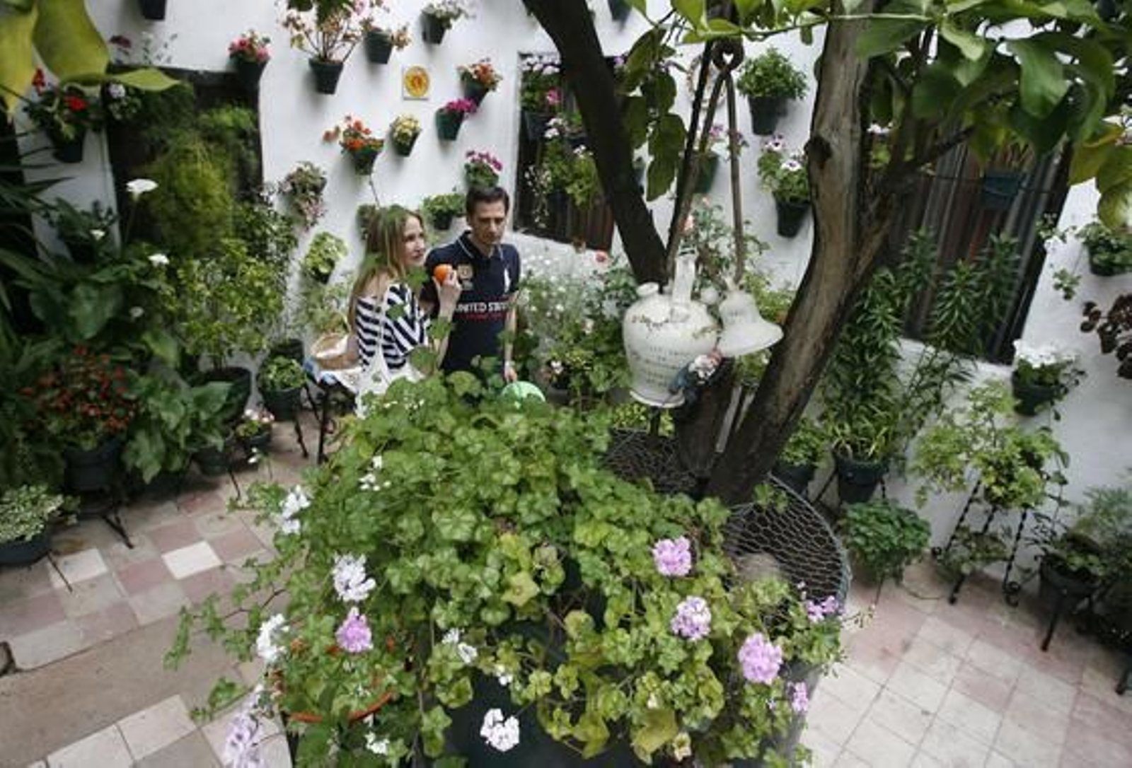 Pozanco, 6.

Foto: Jose Martinez