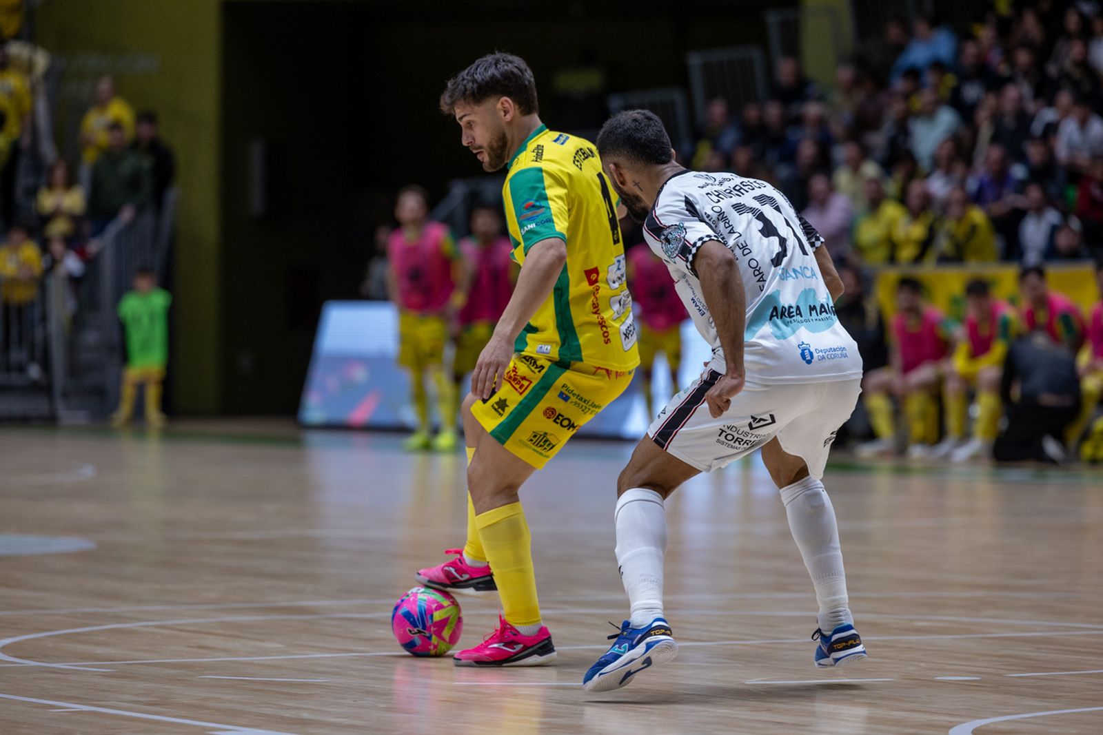 Las mejores imágenes de las tablas entre Jaén Paraíso Interior FS y Noia Portus Apostoli