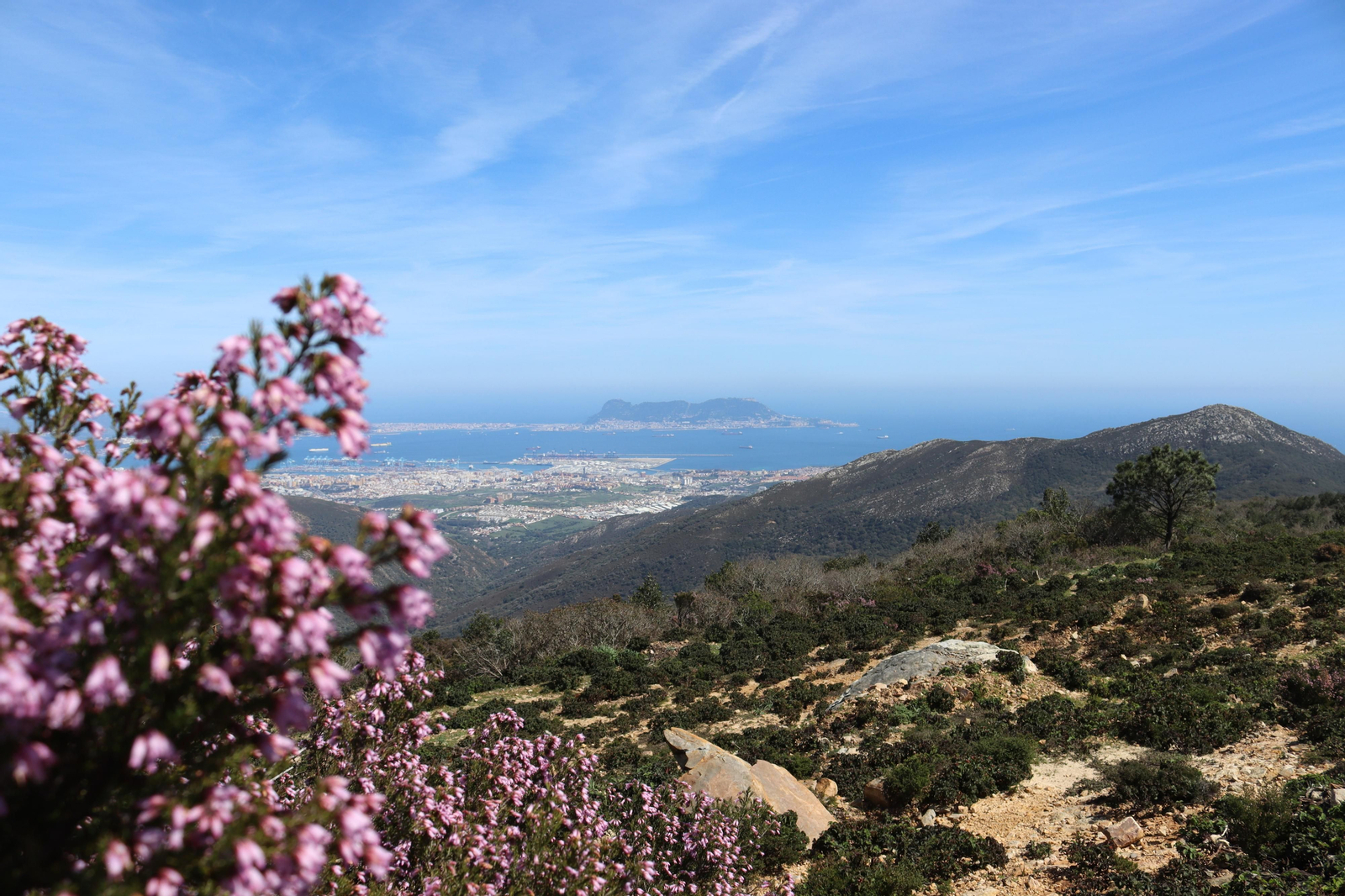 Fotos de la flora y fauna del Parque Natural de Los Alcornocales