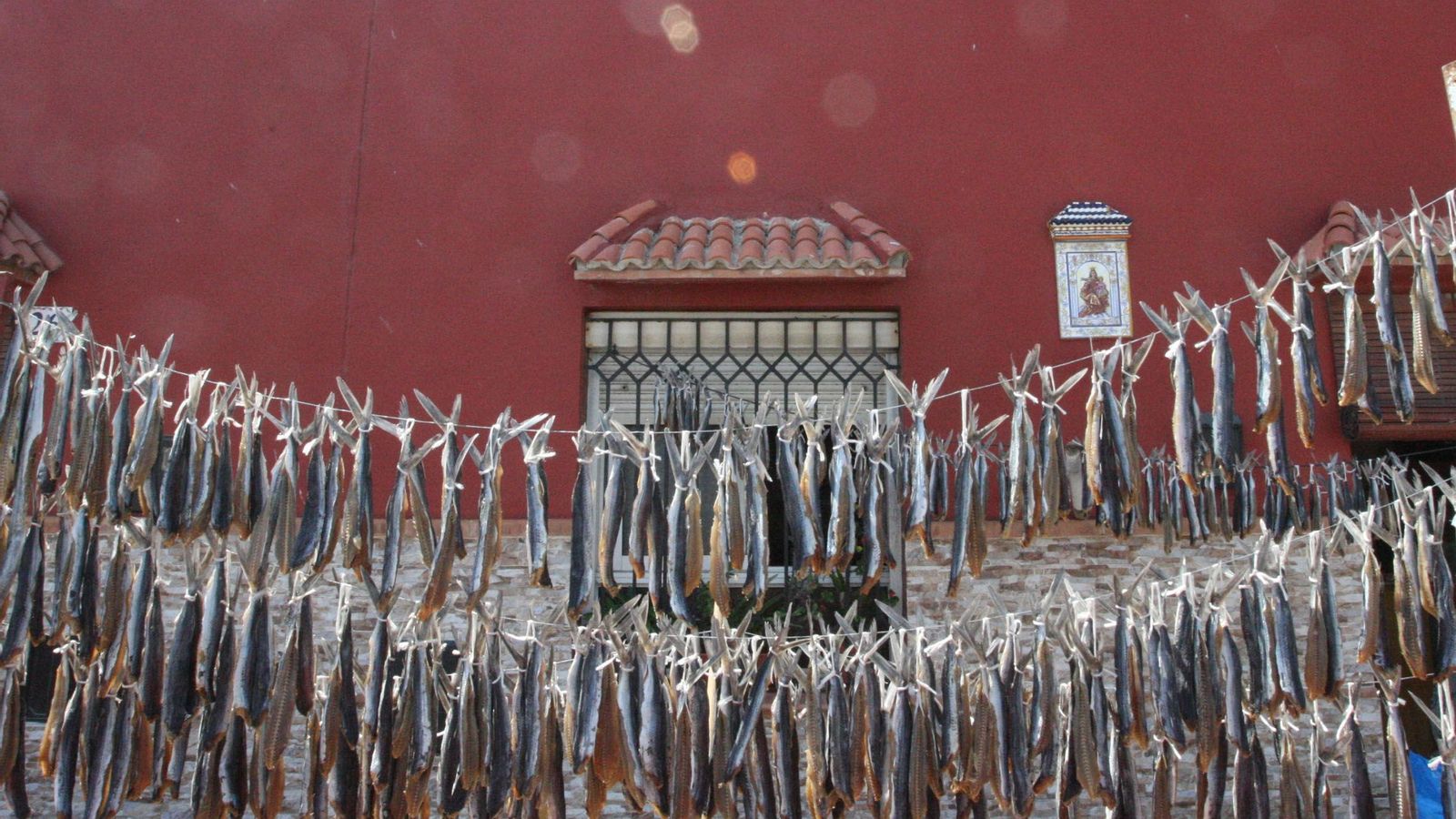 Volaores en La Atunara. Volaores en La Atunara.