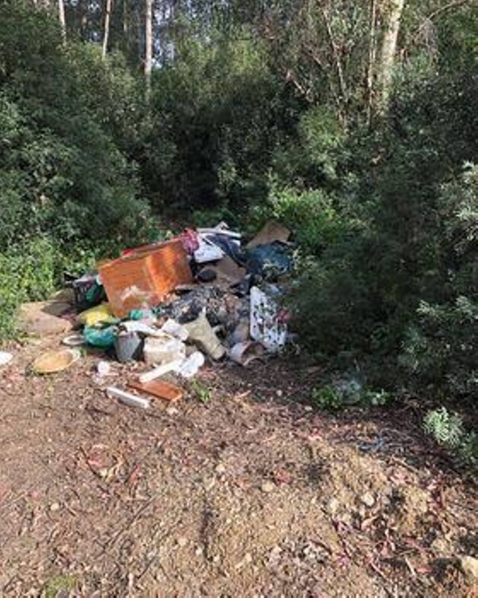 Quejas por las basuras acumuladas en el parque de Las Aguilillas Quejas por las basuras acumuladas en el parque de Las Aguilillas