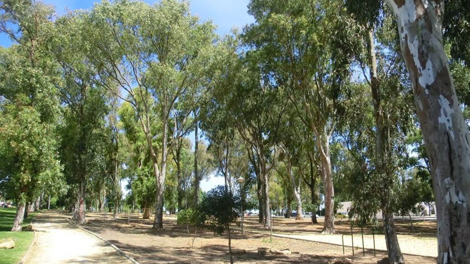 Rotonda del Ave María