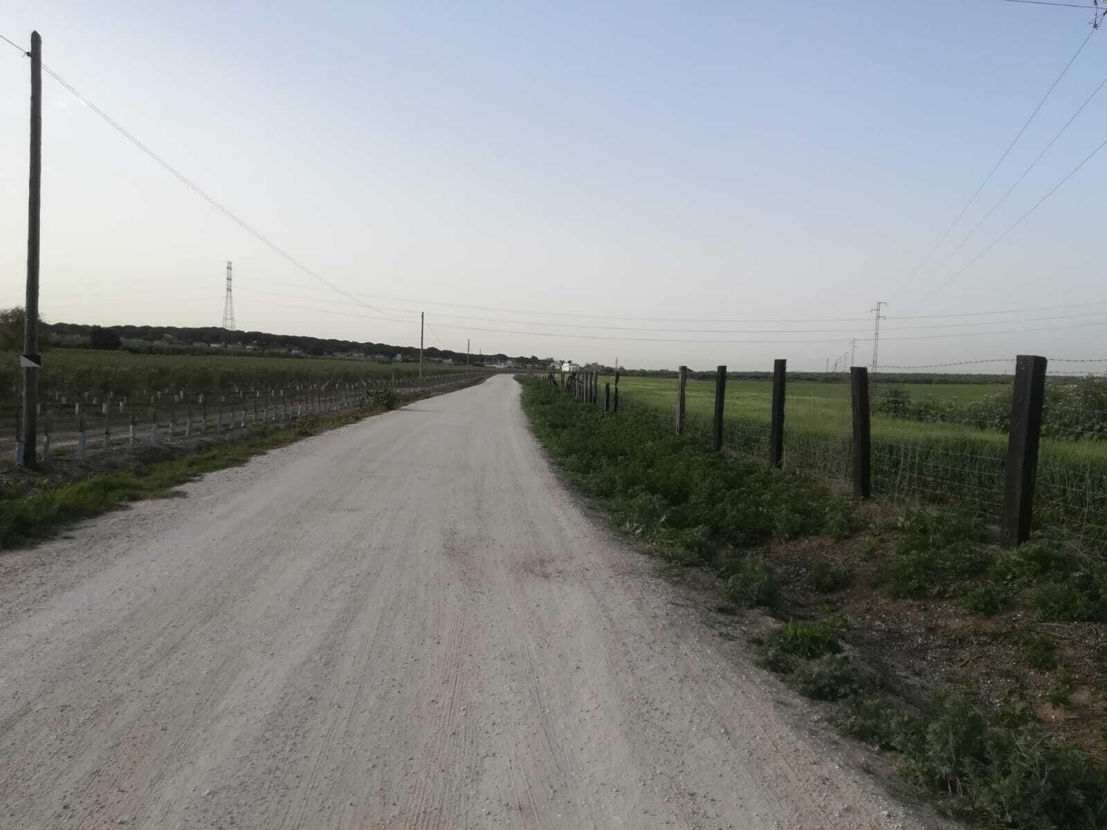 Fotos de la ruta Umbrete-Ermita de Cuatrovitas