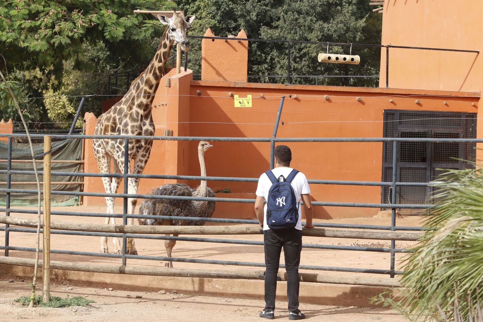 Un visitante, en el Zoo de Córdoba