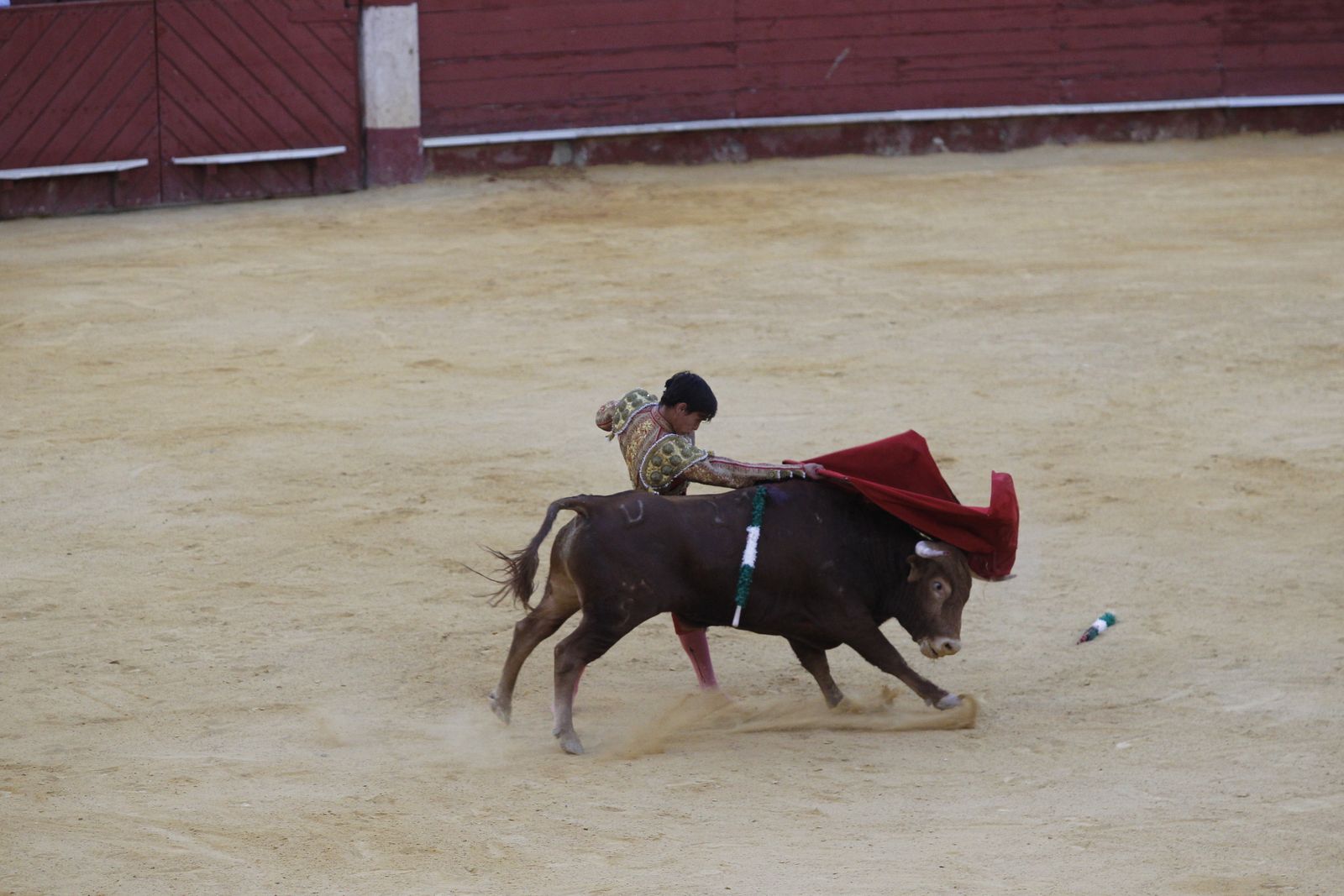 Fotogalería novillada Escuela Taurina de Almería. Feria de Almería 2019