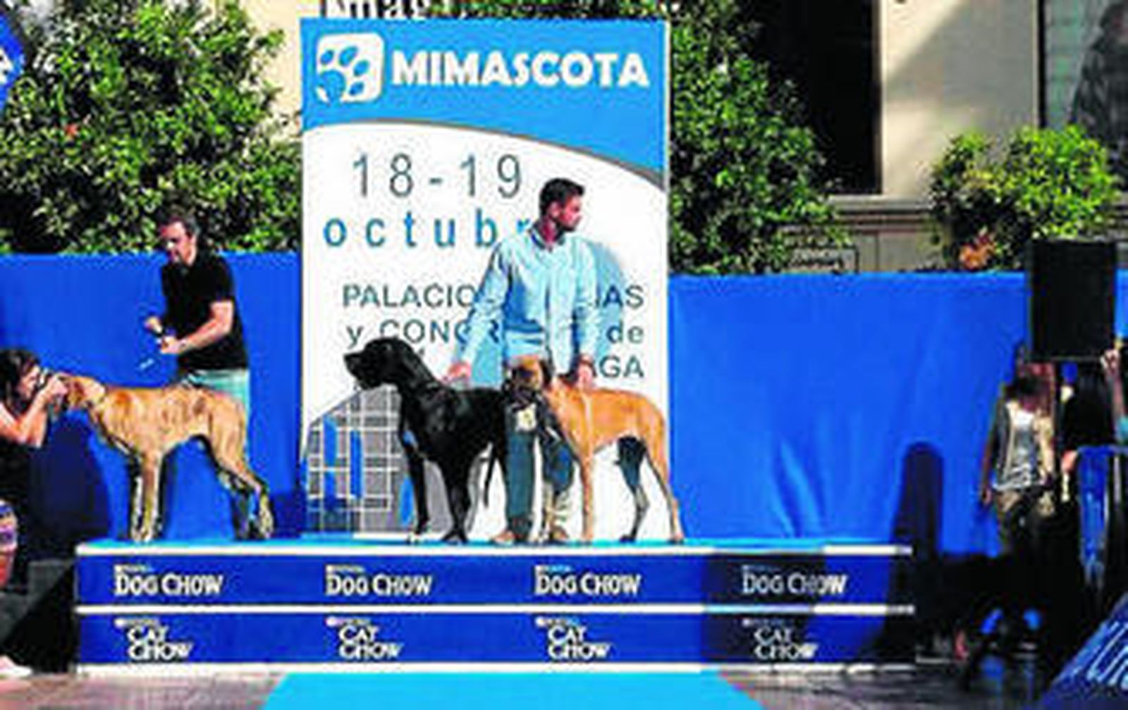 Una exposición de la anterior edición de Mi Mascota.
