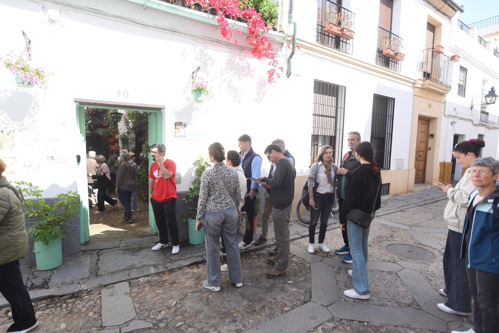 Los Patios de Córdoba de la Ruta del Alcázar Viejo, en imágenes