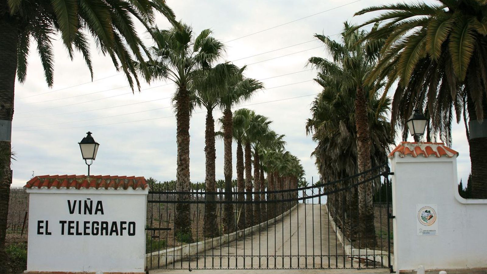Entrada a la Viña El Telégrafo