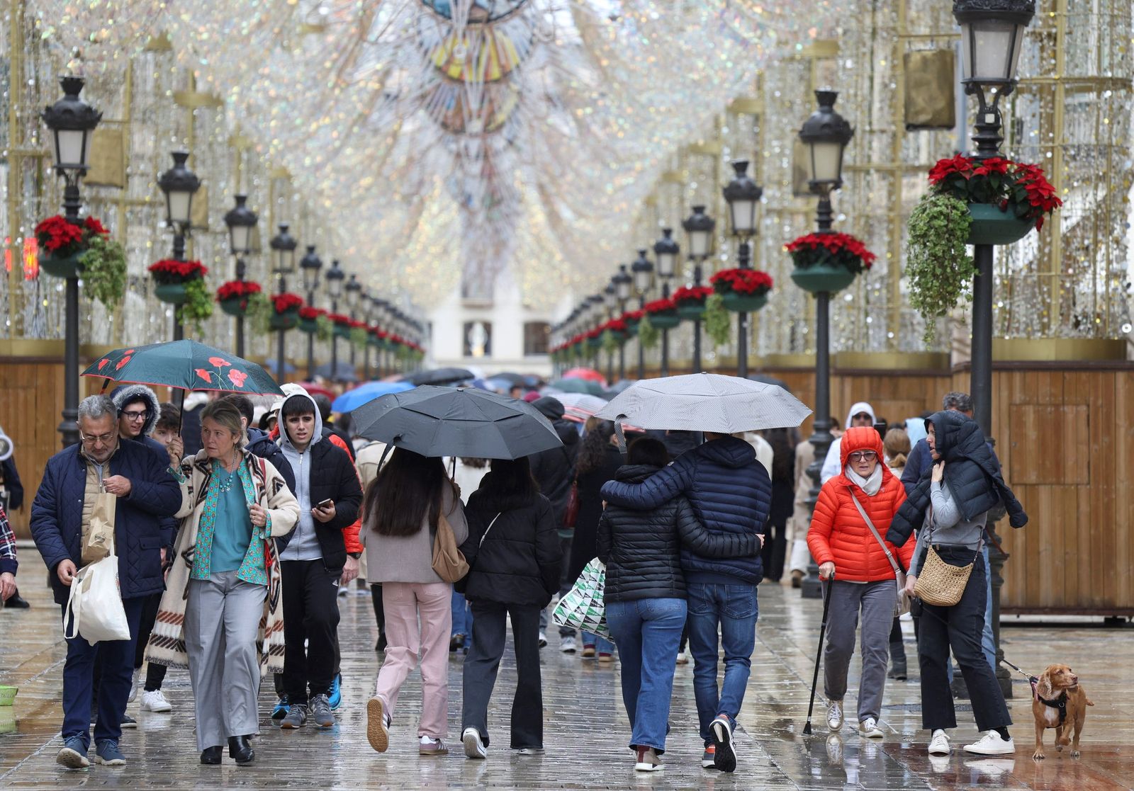 Personas con paraguas por el centro de Málaga.