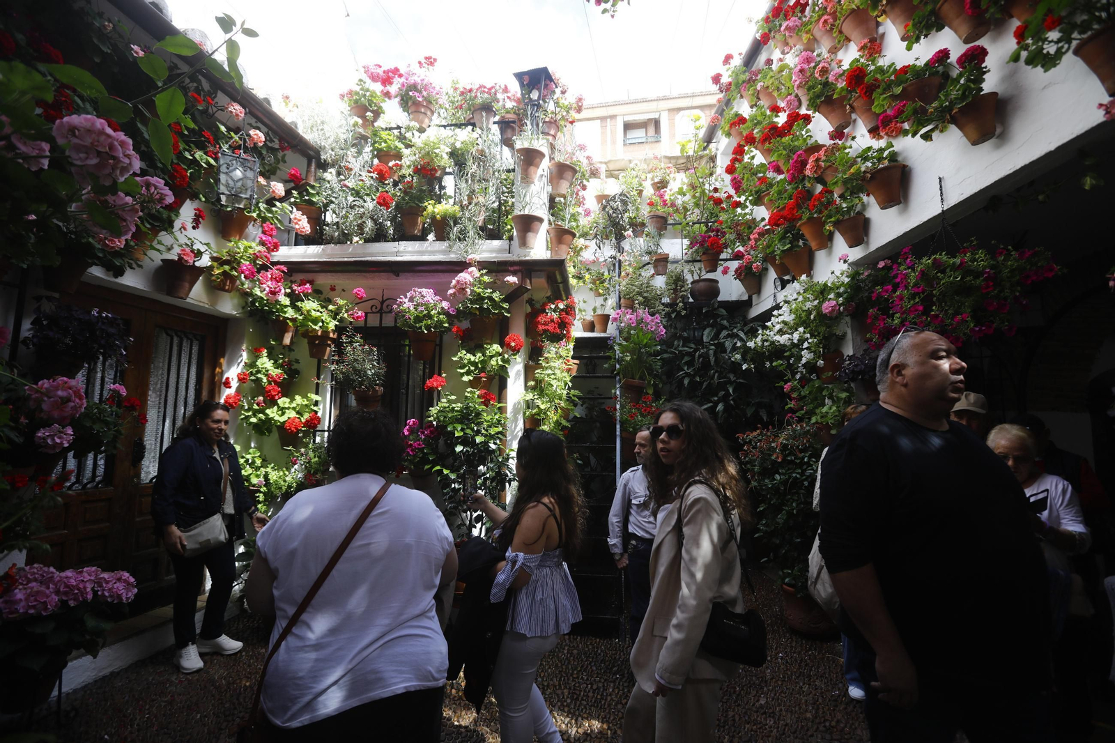 Colas e ilusión en el primer sábado de los Patios de Córdoba, en imágenes