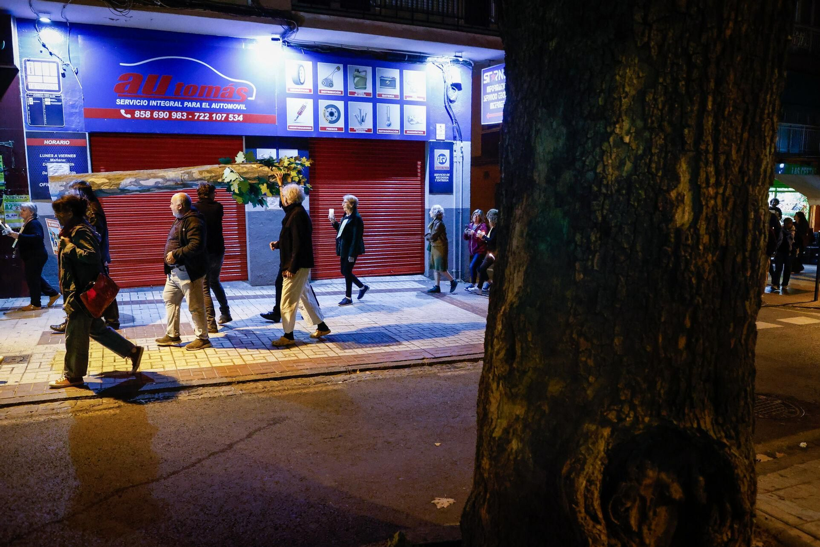 Velas, pancartas y árboles simbólicos: así han protestado los vecinos de Cervantes en Granada
