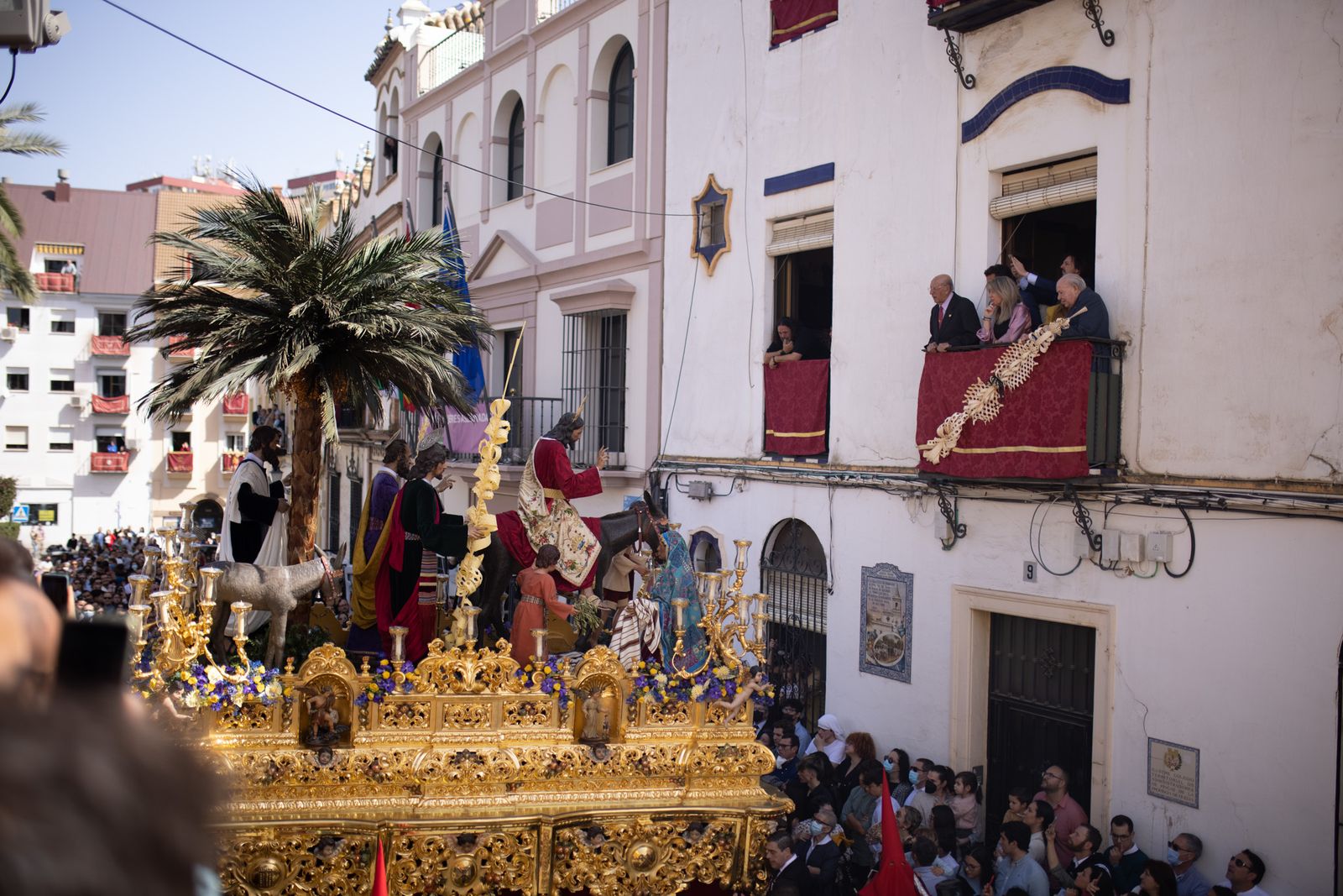 Imágenes del Domingo de Ramos: Hermandad de la Borriquita