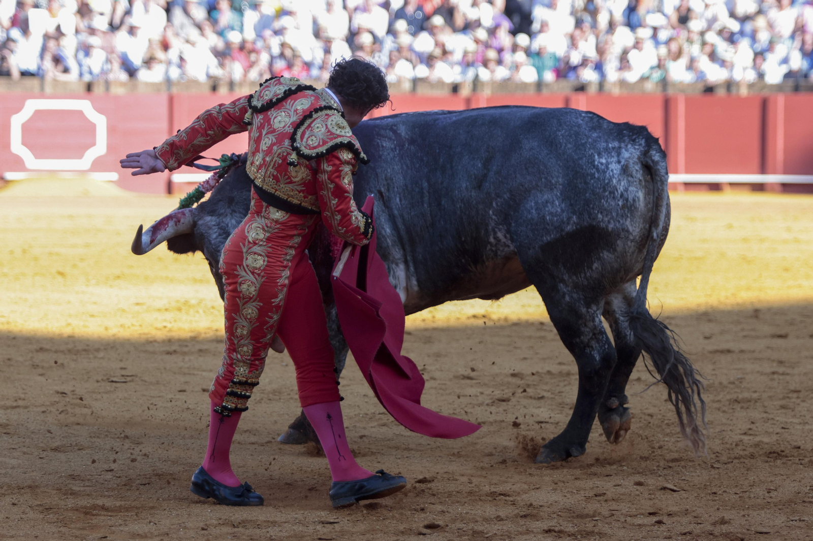 Las imágenes del festejo
