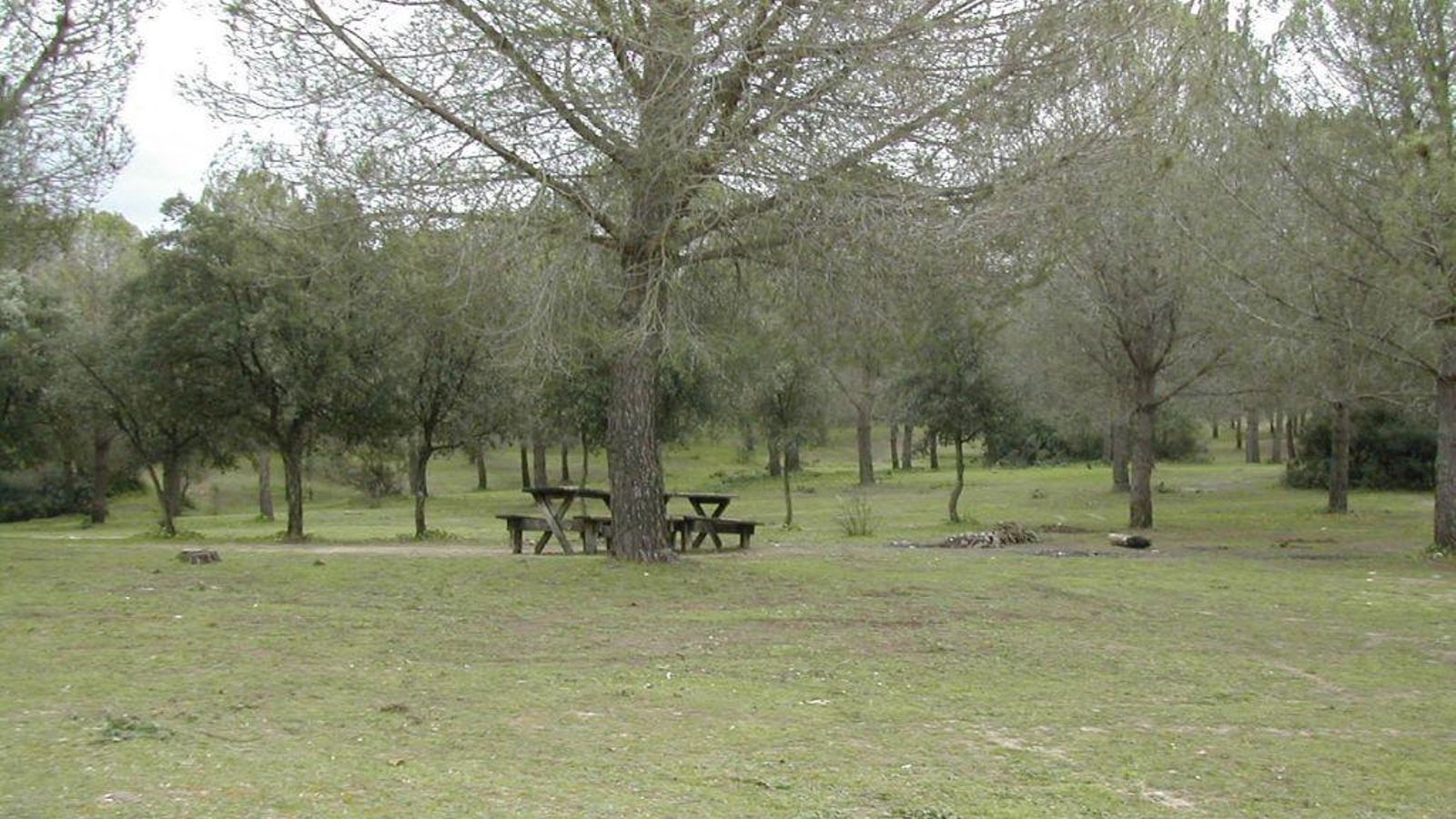 La Suara, en La Barca (Jerez).