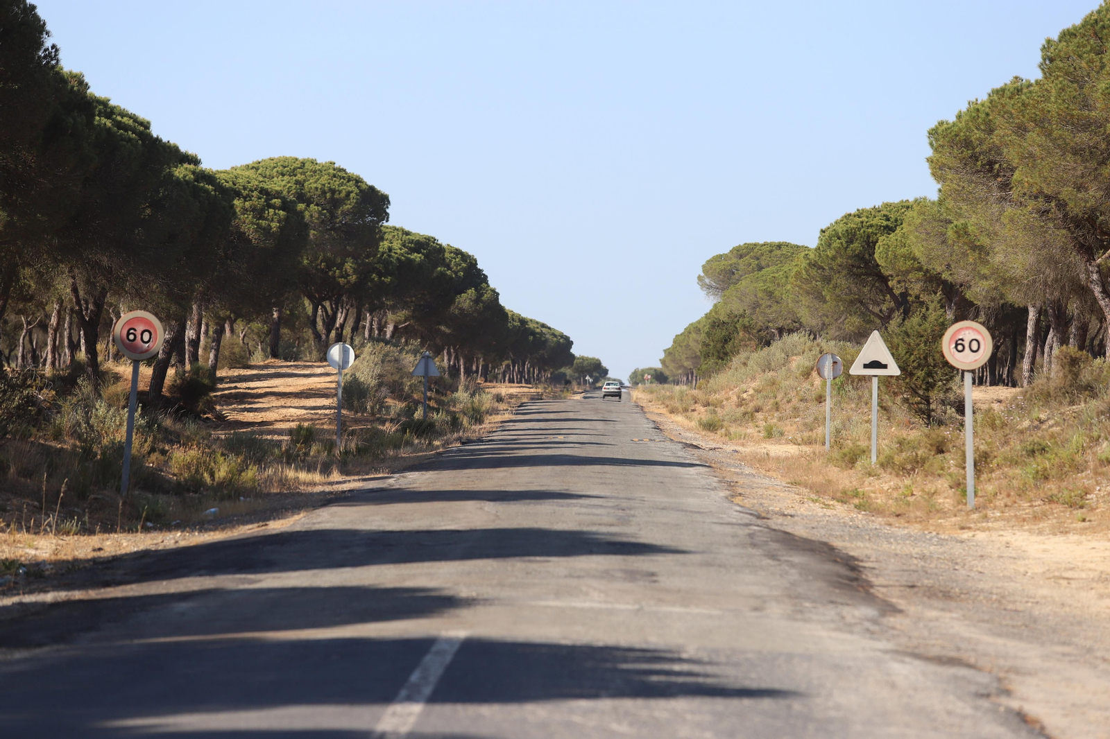 Imágenes del estado en el que se encuentran los caminos del Rocío para la Romería 2023
