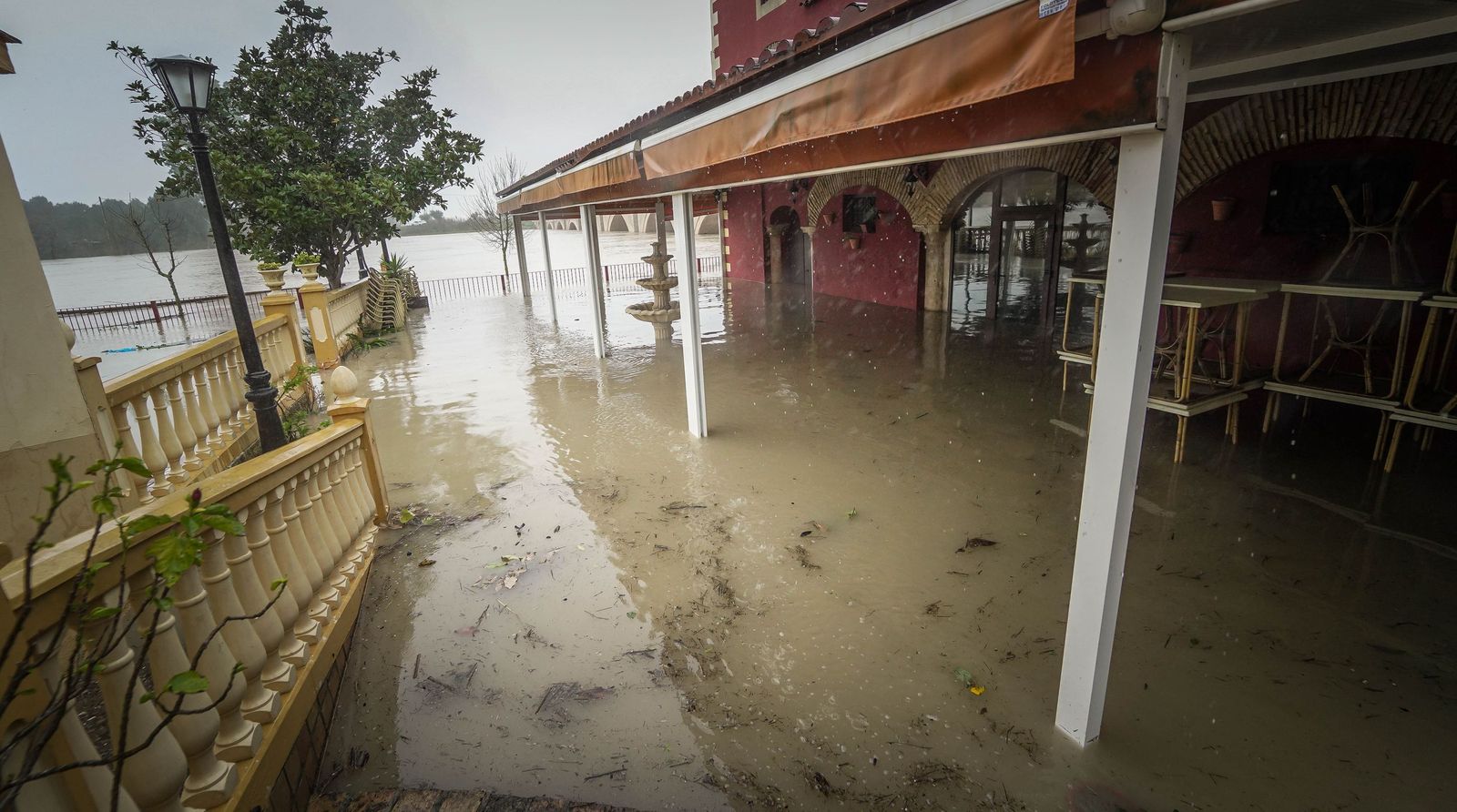 Imágenes de las graves consecuencias de la crecida del rio Guadalete en la zona rural de Jerez