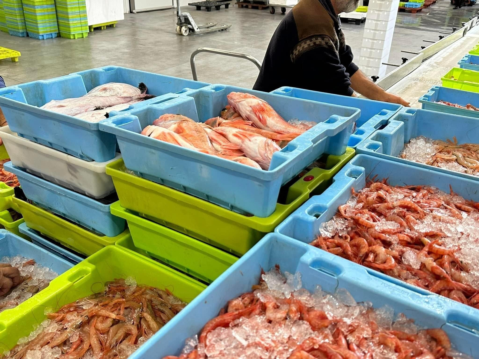 La facturación de las lonjas de Granada, Málaga y Almería supera un volumen de capturas de unos 5 millones de kilos