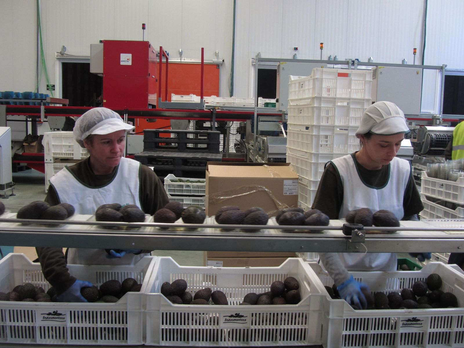 La campaña empezó en diciembre.