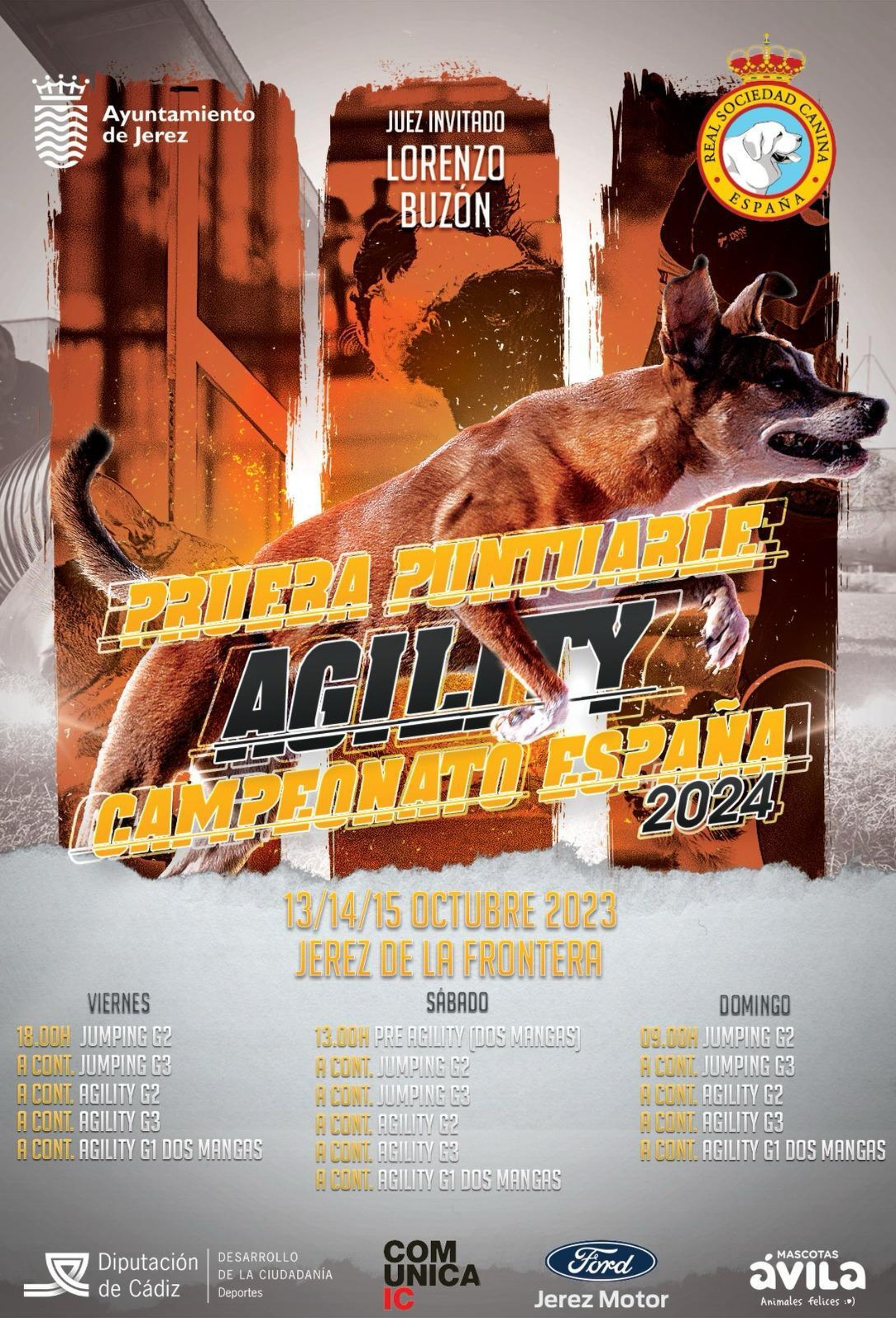 Cartel de la competición.