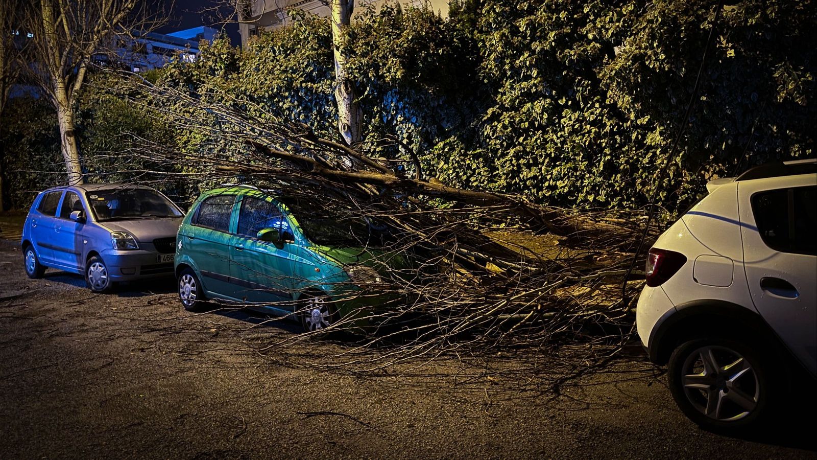 Un árbol caído sobre un coche y tendido eléctrico en Granada
