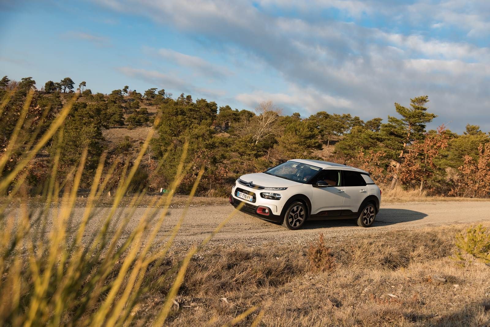Galería de fotos del nuevo Citroën C4 Cactus 2018