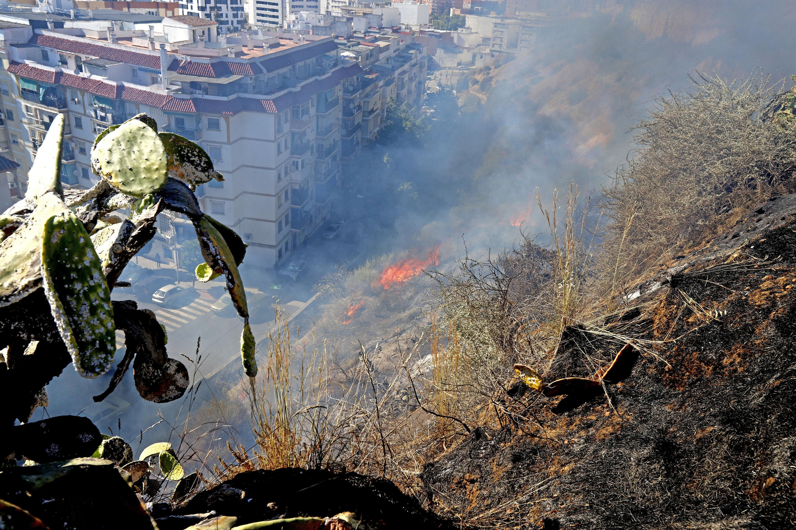 Imágenes del espectacular incendio en las laderas del Conquero