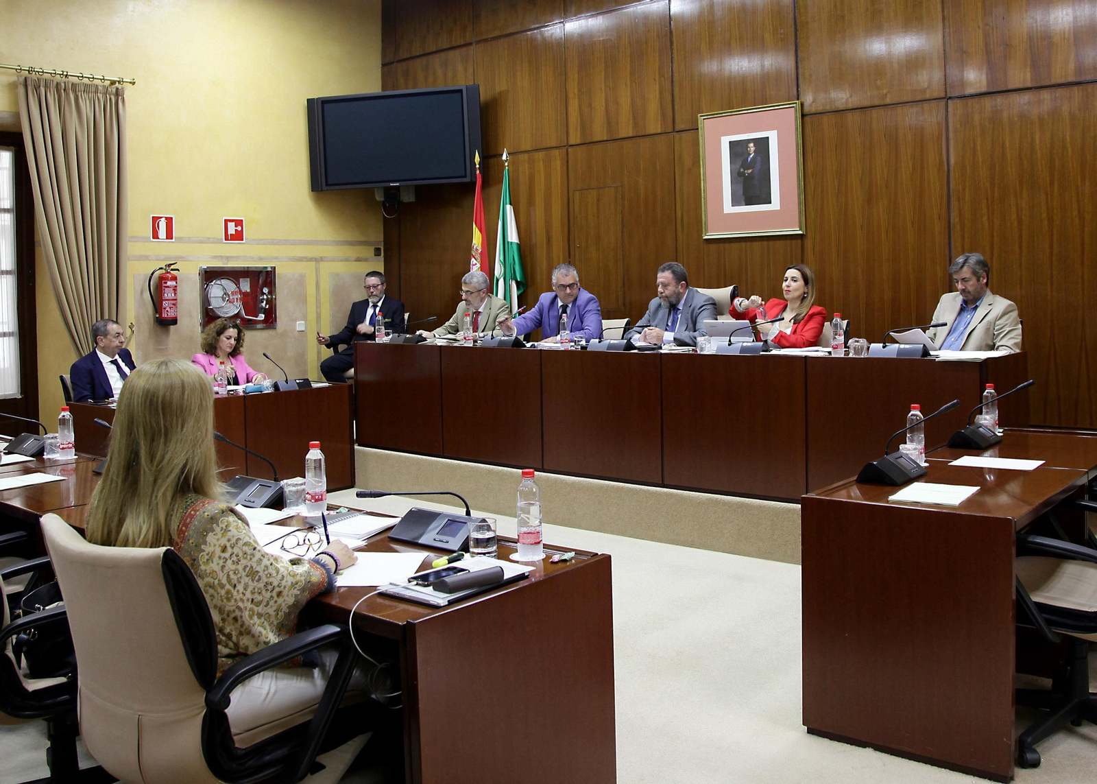 Un instante de la comisión de empleo, empresa y comercio celebrada ayer en el Parlamento andaluz.