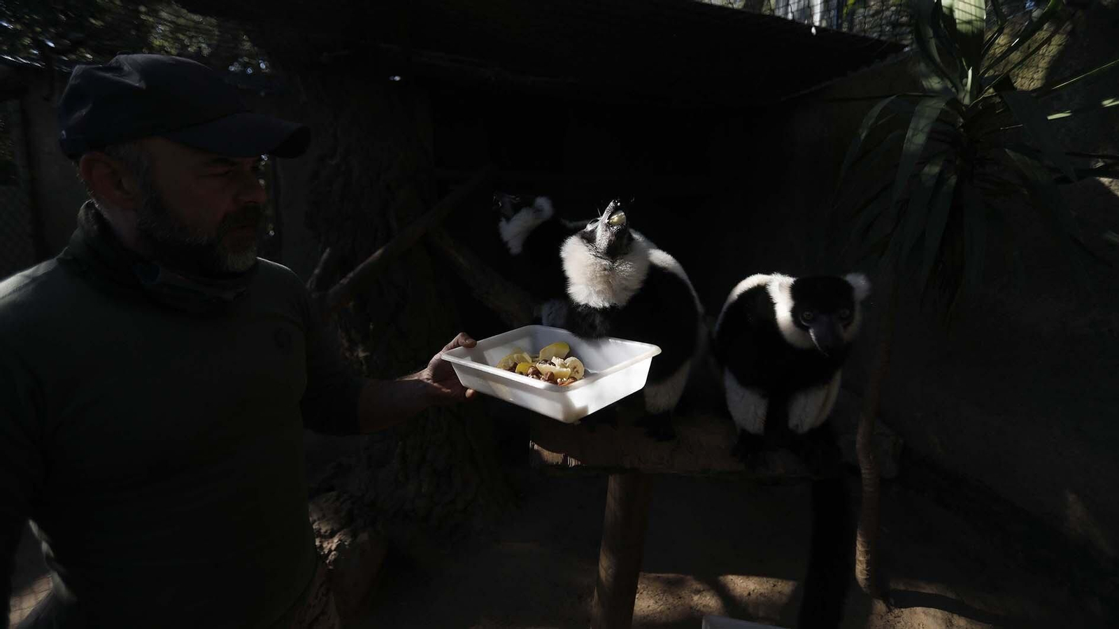 Las fotos del Zoo de Castellar de la Frontera