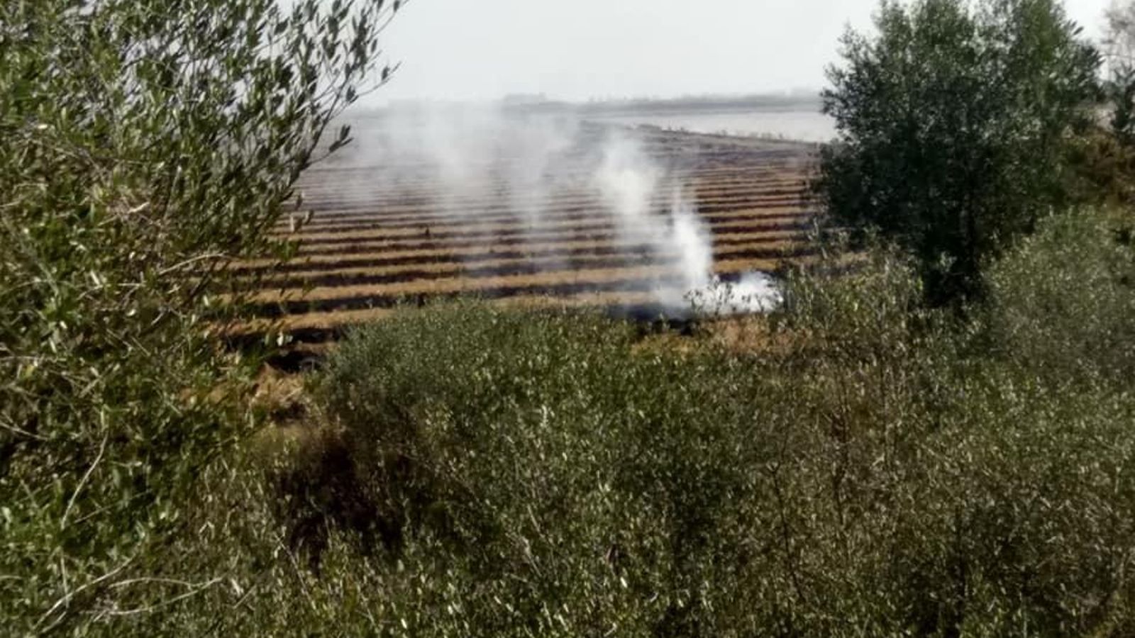 Foto-denuncia publicada el domingo 27 de octubre y que hace referencia a la quema, sin control ni vigilancia, en la dehesa de la Puebla del Río.