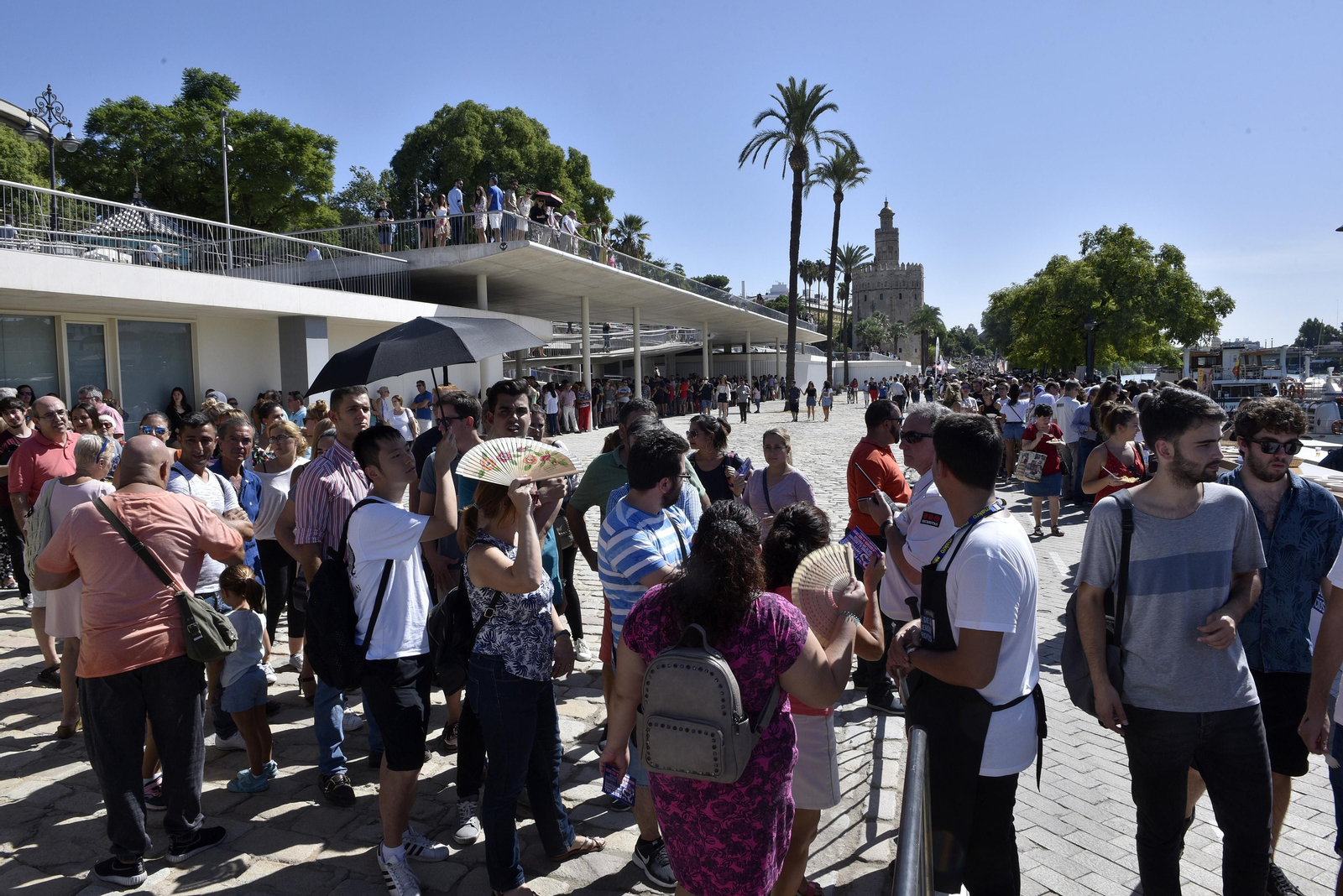 La barra de tapas más larga del mundo, en Sevilla
