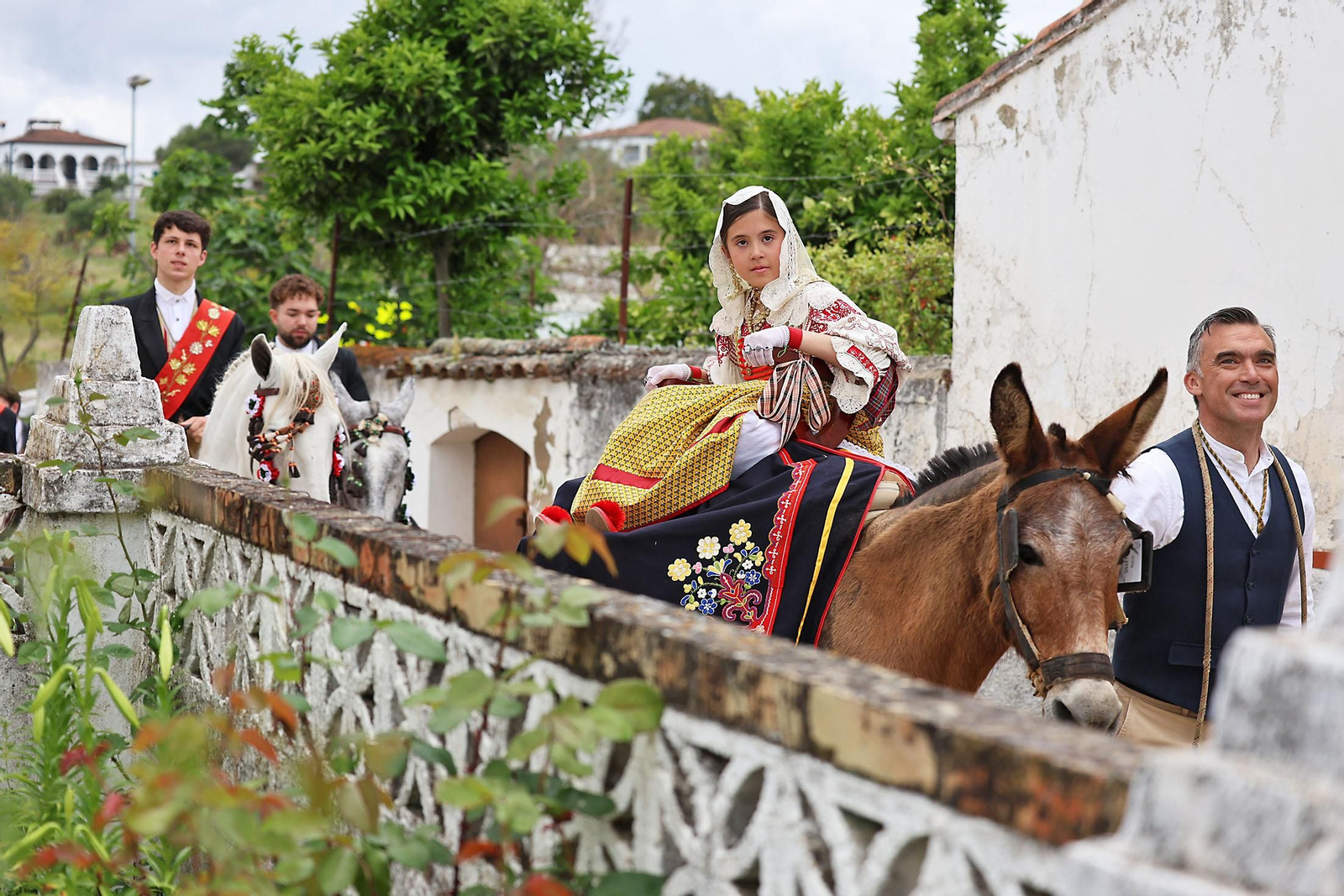 Las imágenes de la romería de San Benito Abad en el Cerro del Andévalo de Huelva