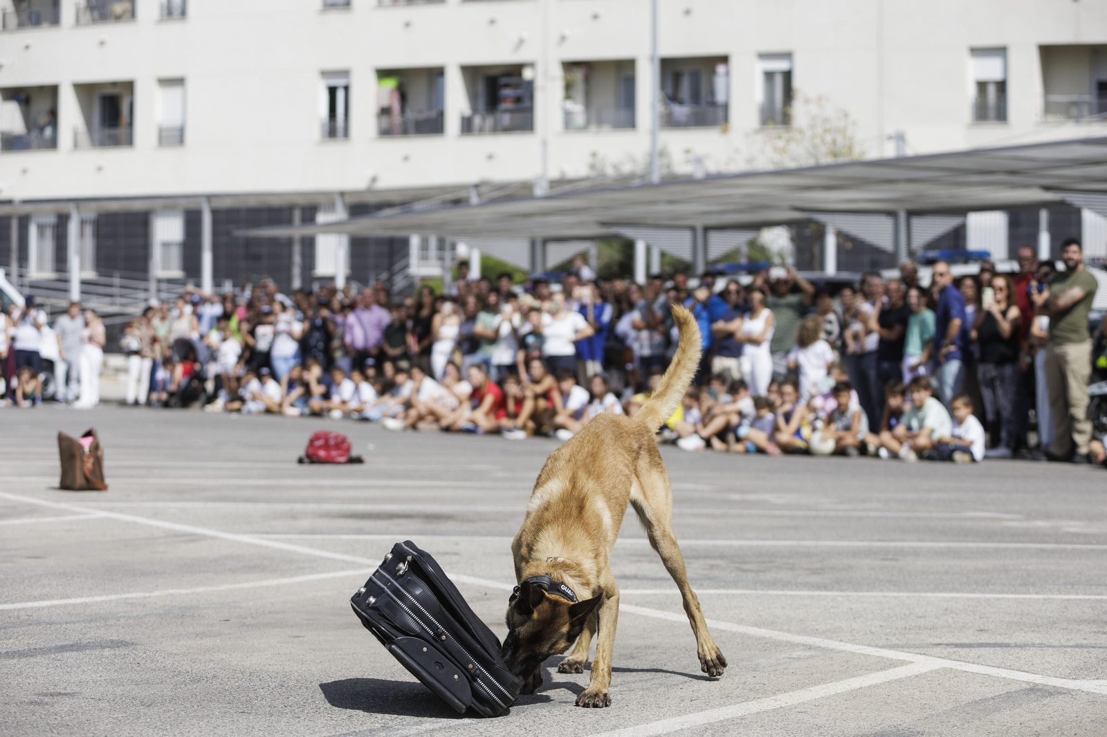 Todas las imágenes de la Jornada de Puertas Abiertas en la Guardia Civil de Cádiz