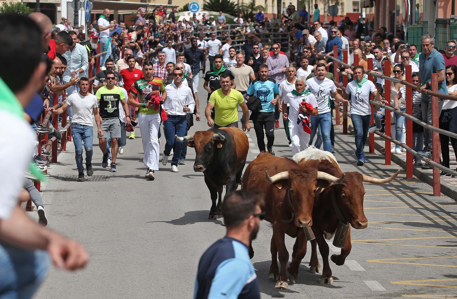 Fotos del Toro Embolao en Los Barrios
